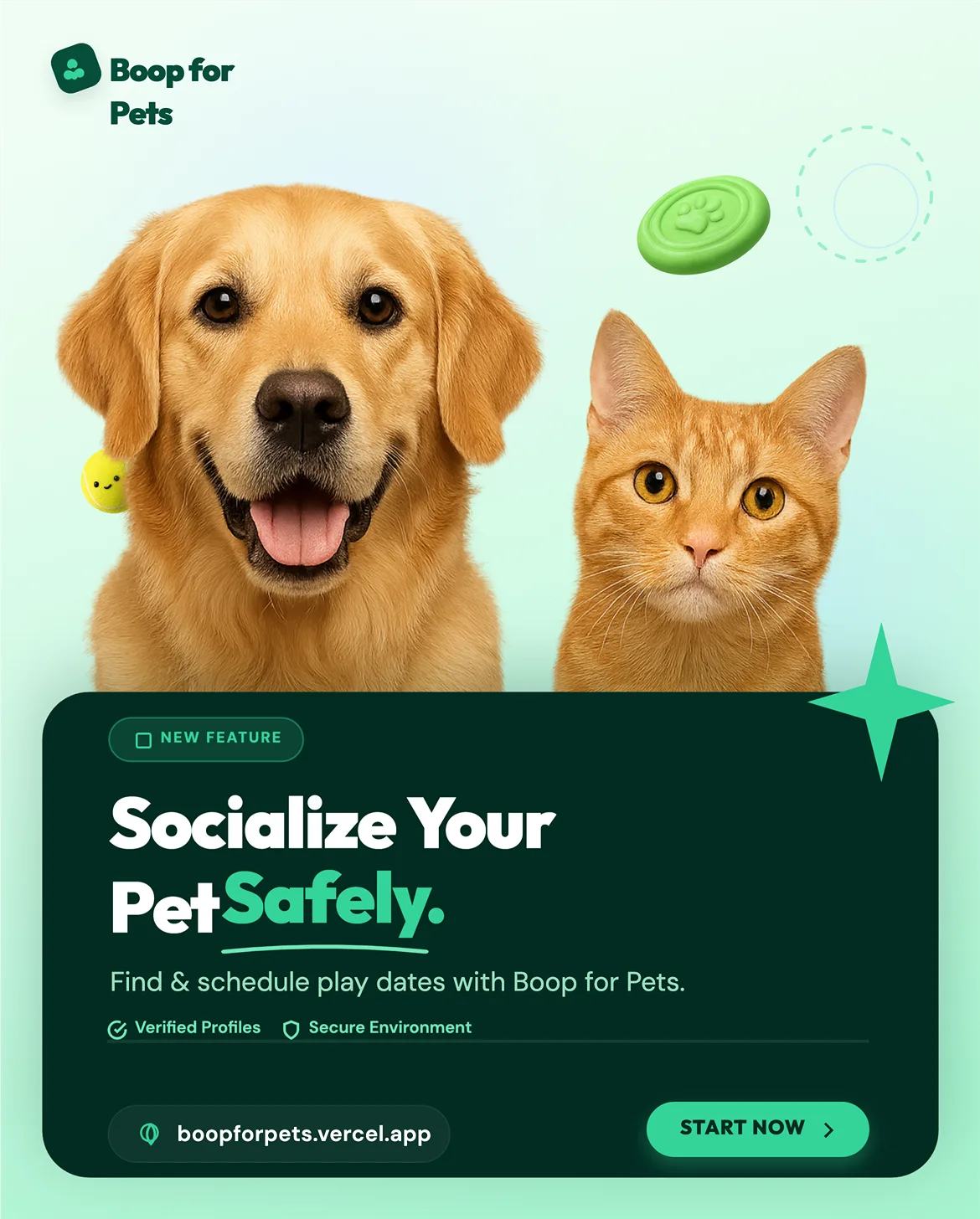 Boop For Pets
