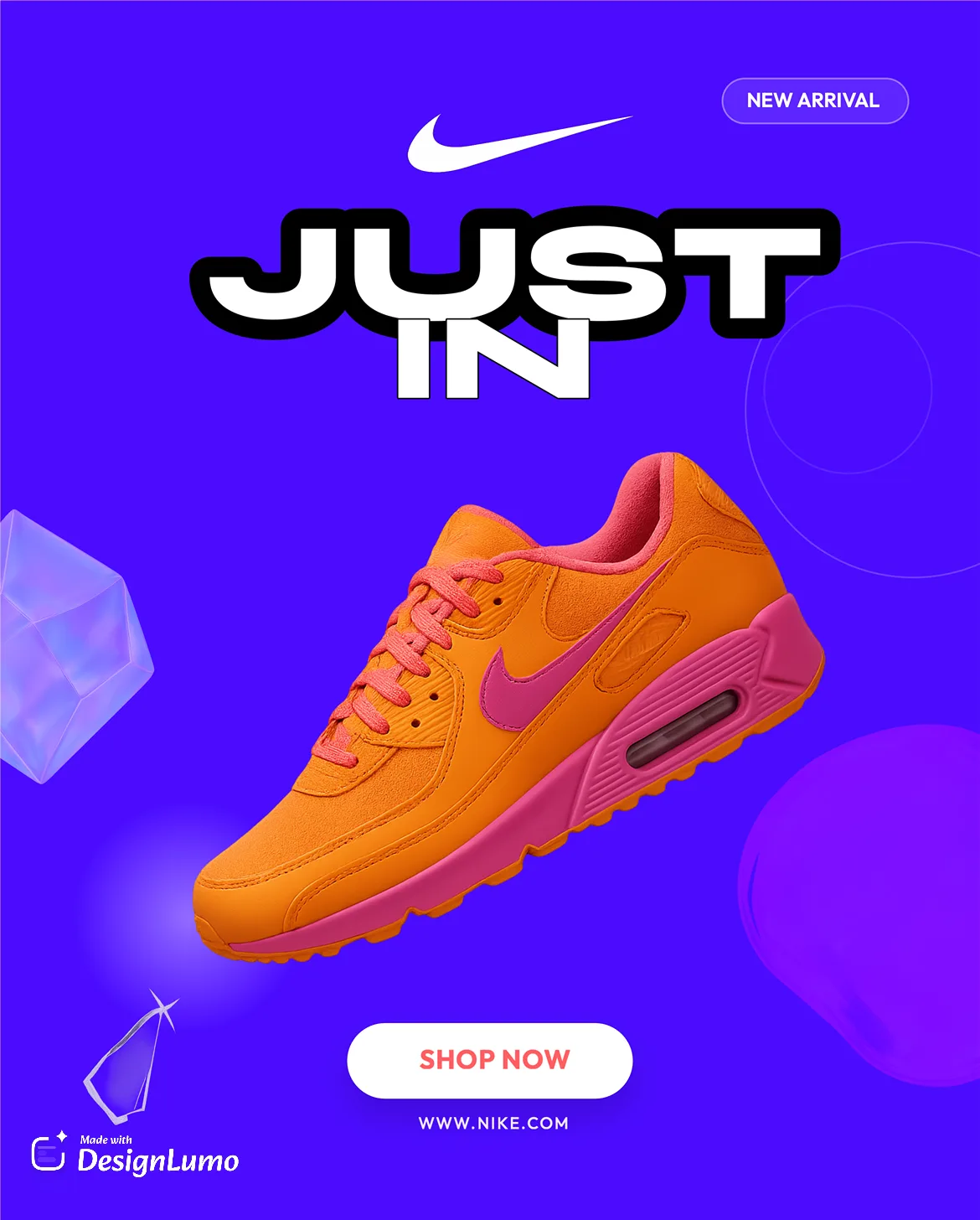 Nike Shoe Variant